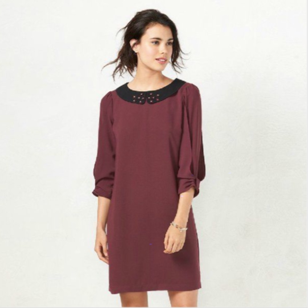 Long Sleeve Collared Shift Dress in Wine